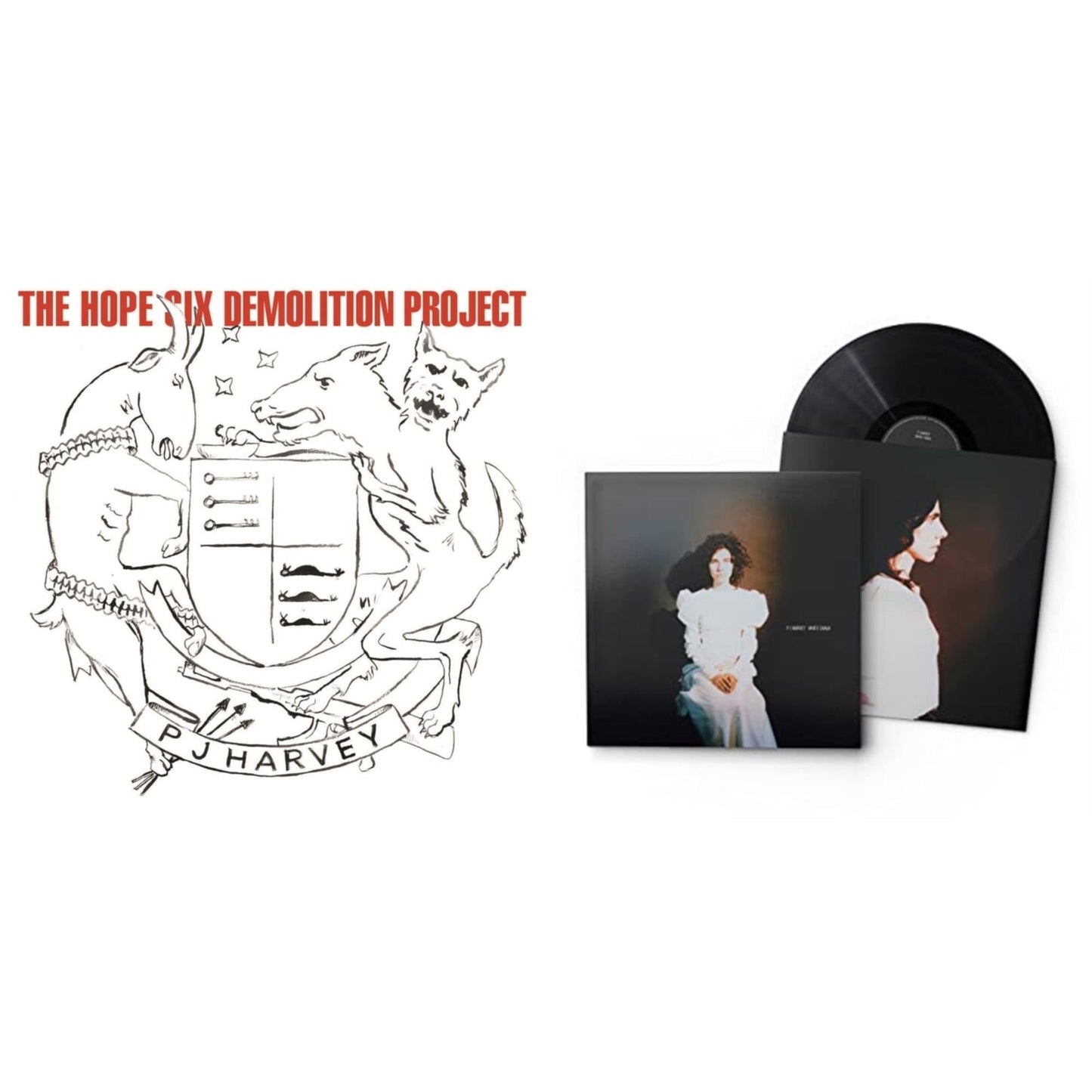 White Chalk & Hope Six Demolition Project