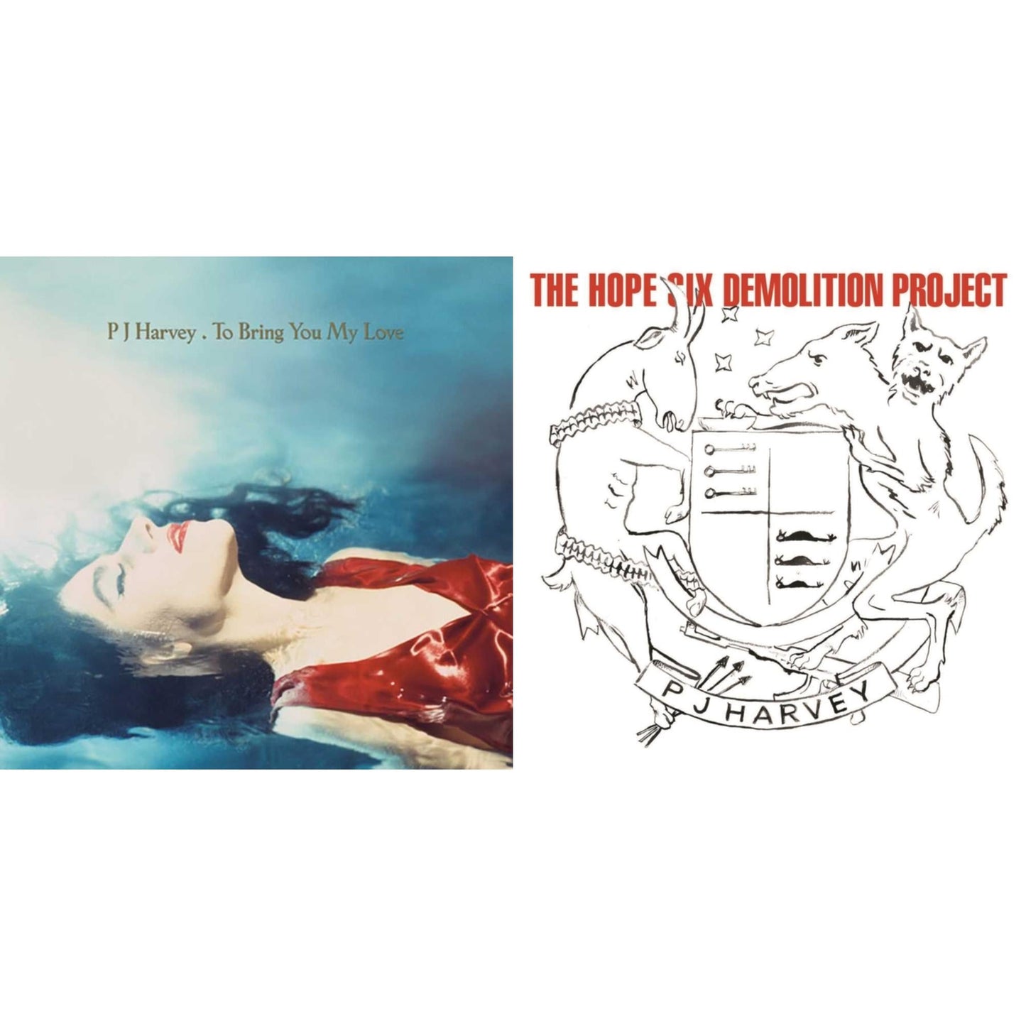 Hope Six Demolition Project & To Bring You My Love