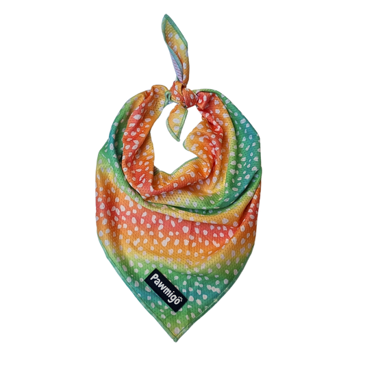 Chasing Rainbows Cooling Bandana
