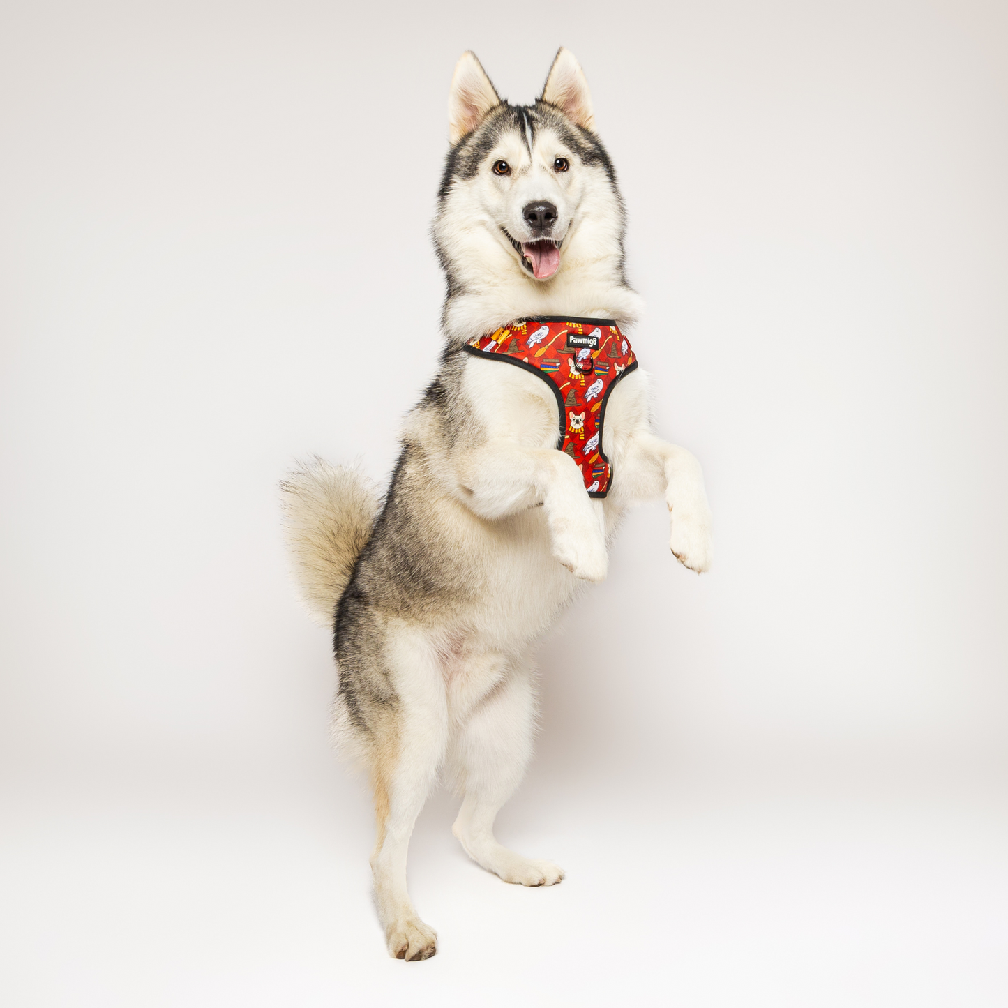 Pawgwarts Everyday Adjustable No-Pull Dog Harness