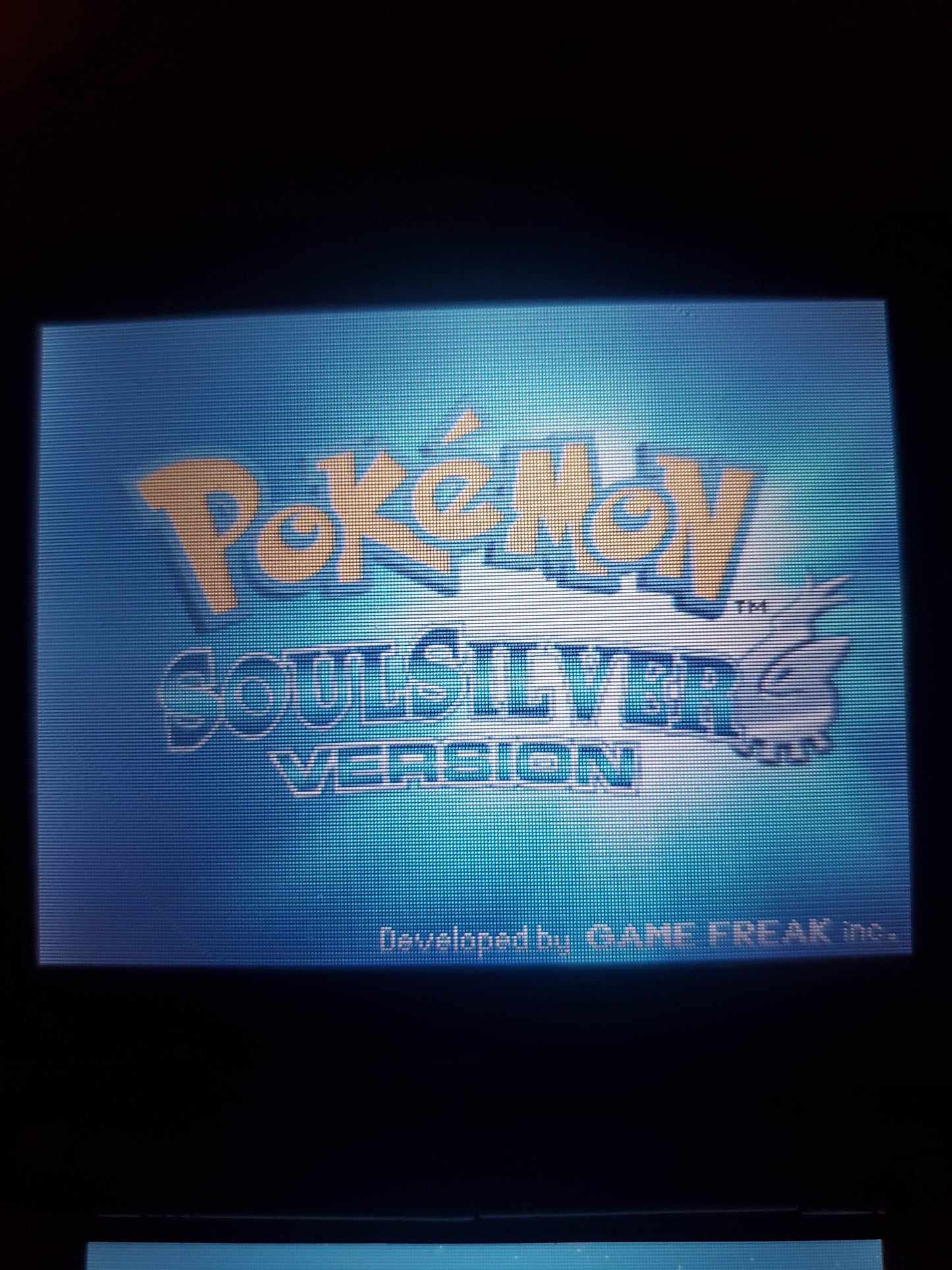 Pokemon SoulSilver Video Game Nintendo DS