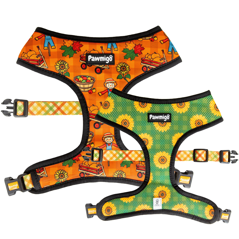 Pupkin Patch Reversible Harness