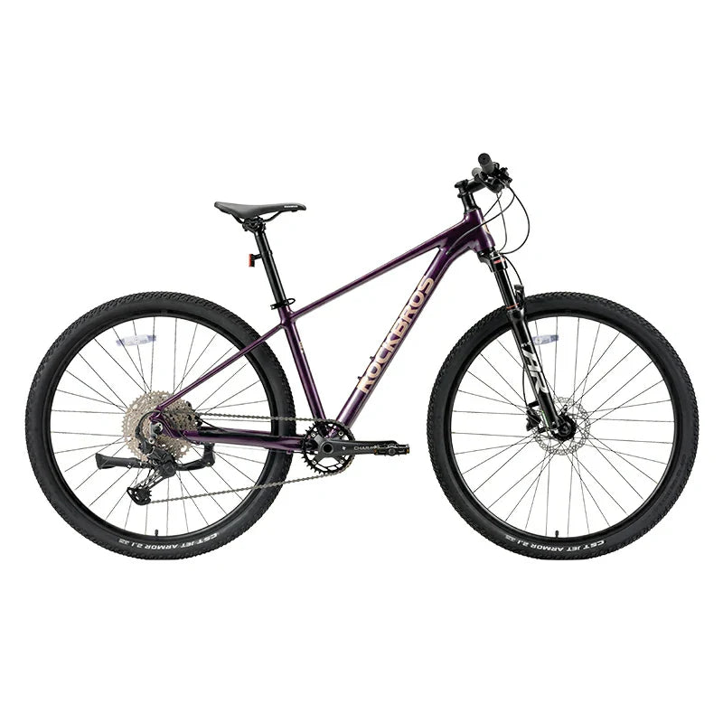 MT400 Mountain Bike