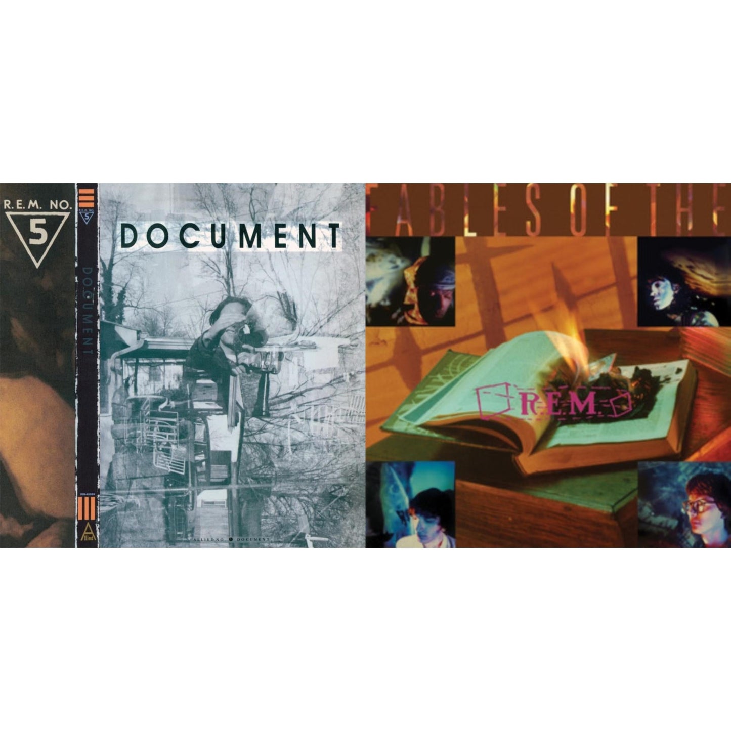 Document & Fables Of The Reconstruction