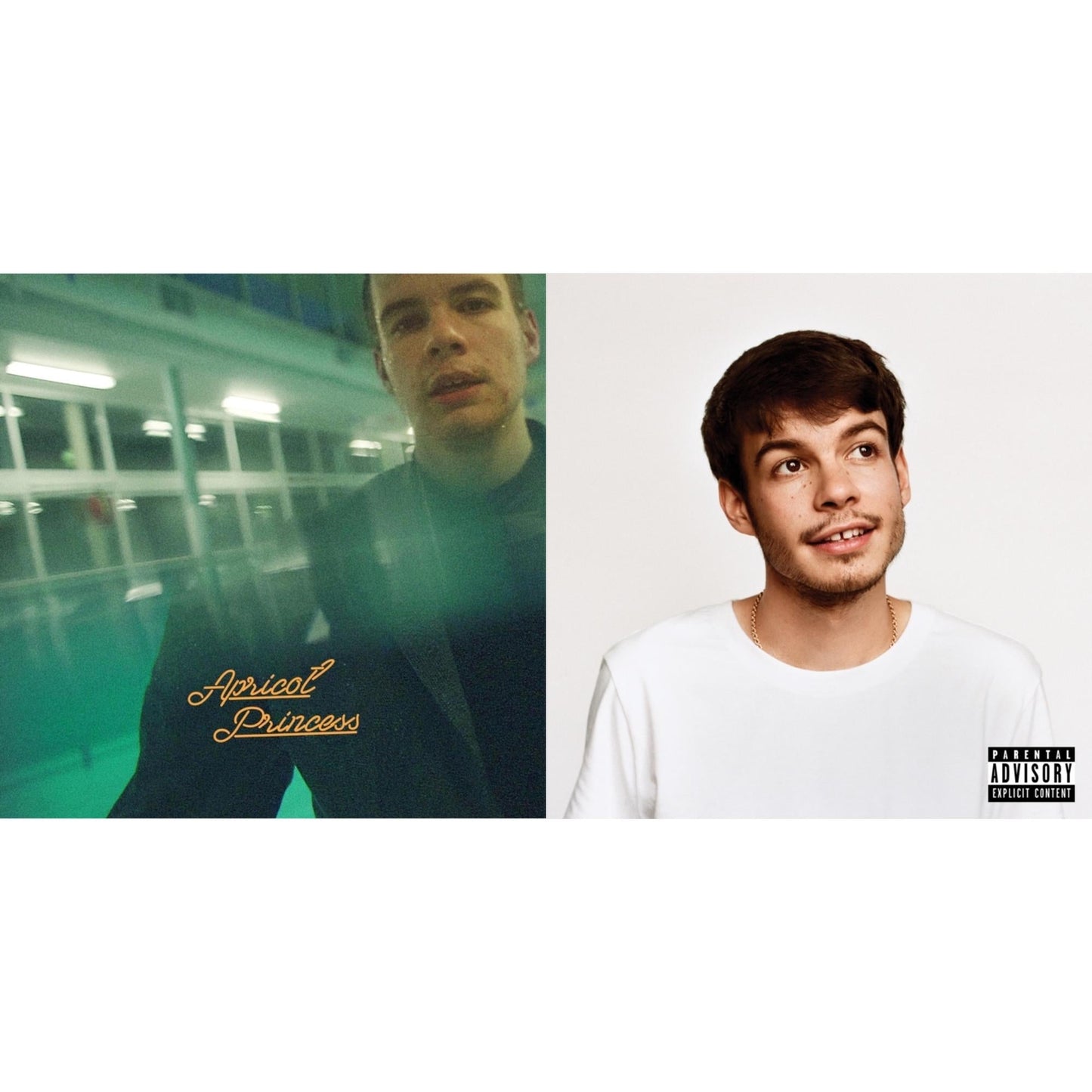 Rex Orange County - Pony (X) (140G/Dl Insert) & Apricot Princess - LP Vinyl Bundle