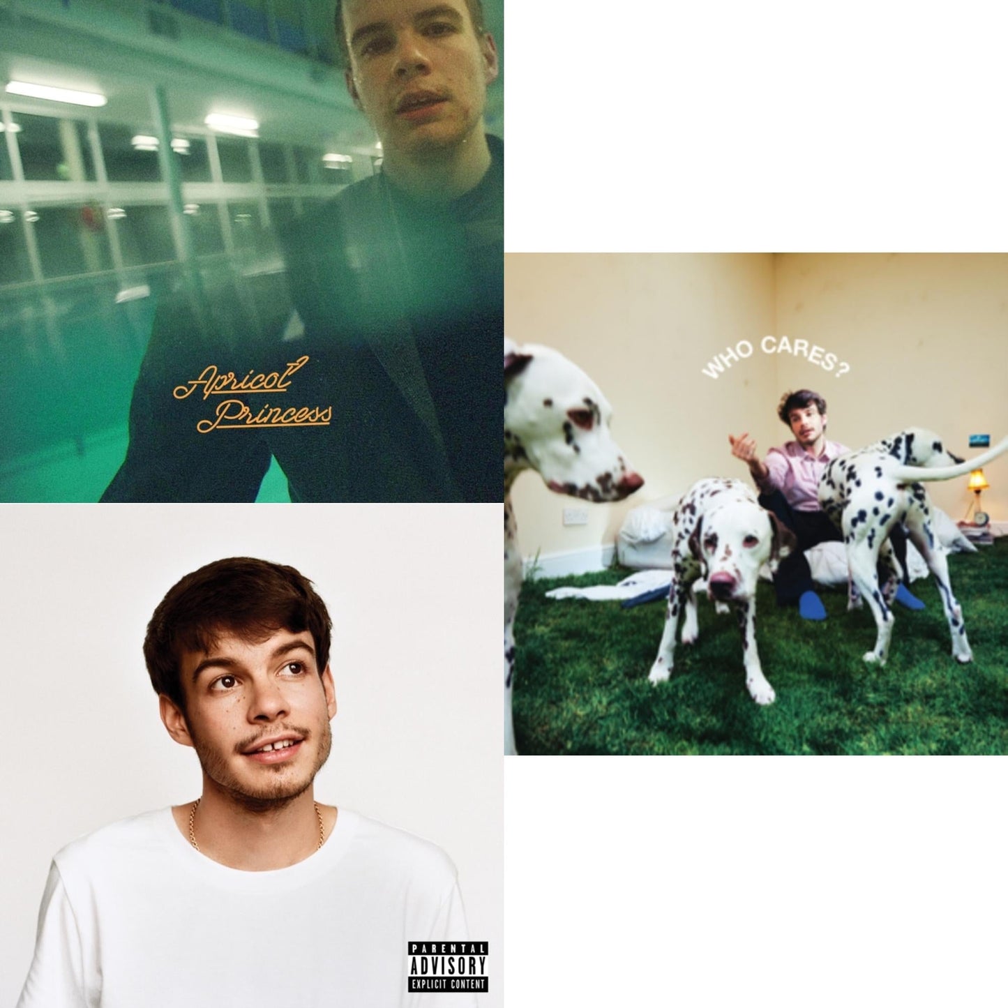 Pony (X) (140G/Dl Insert) & Who Cares? (X) (150G) & Apricot Princess