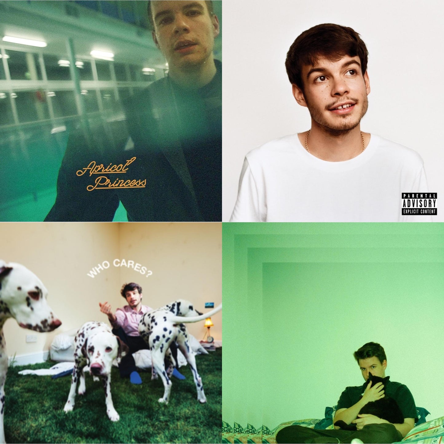 Pony (X) (140G/Dl Insert) & Who Cares? (X) (150G) & Apricot Princess & Bcos U Will Never B Free