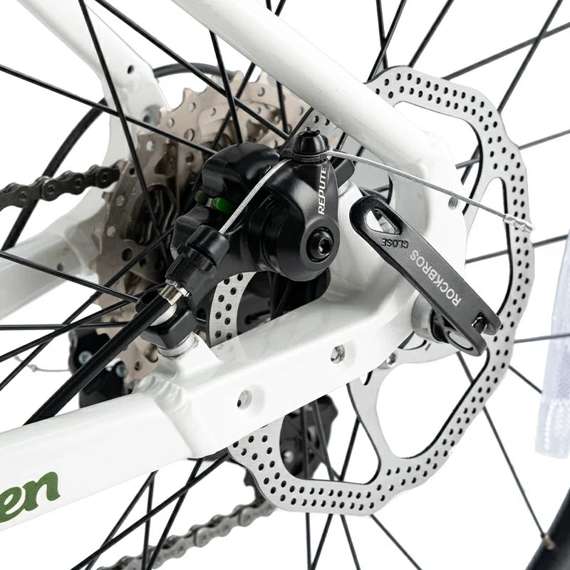 Teen 22-Inch Road Bike