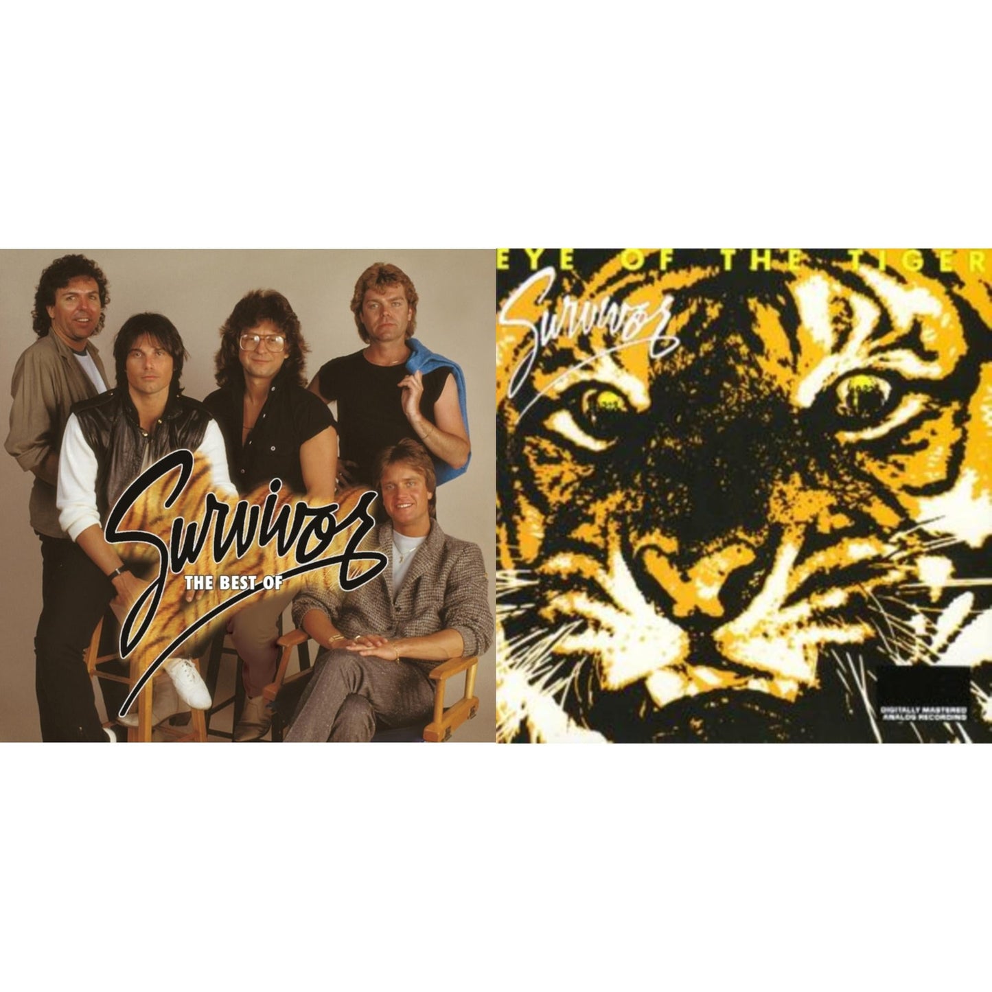Eye Of The Tiger & Best Of Survivor