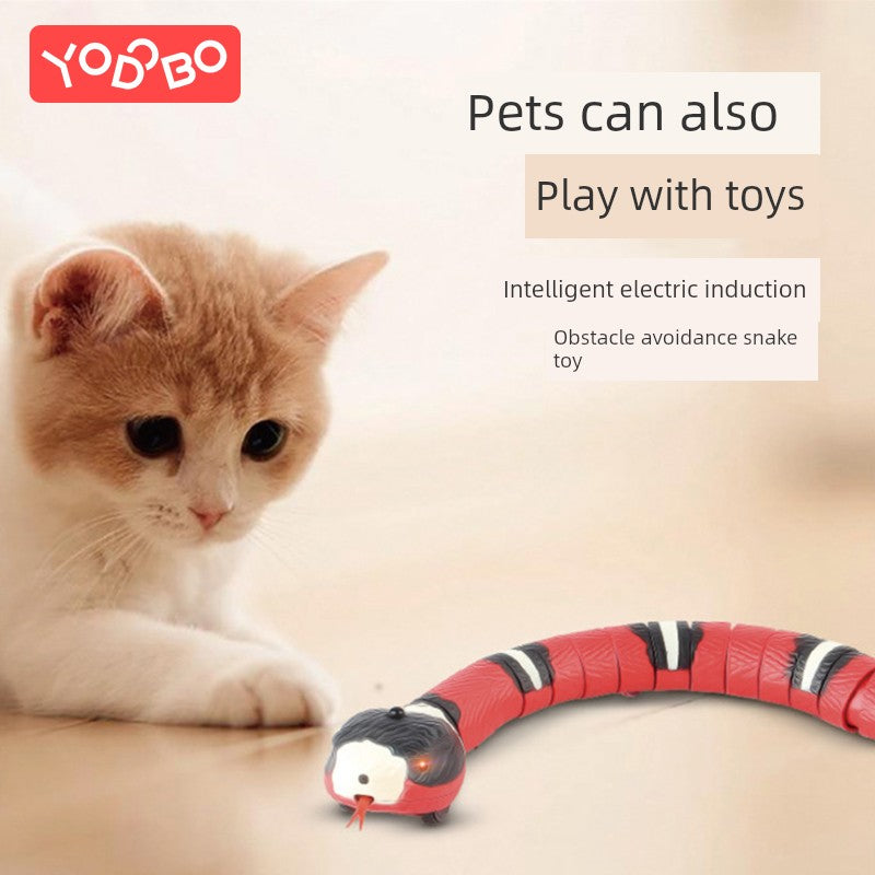 Cat Toy Snake - Electric Automatic Self-Hi Teaser for Cats, Interactive Pet Toy for Kittens and Adult Cats - Premium  from Lizard Vigilante - Just $11.88! Shop now at Lizard Vigilante