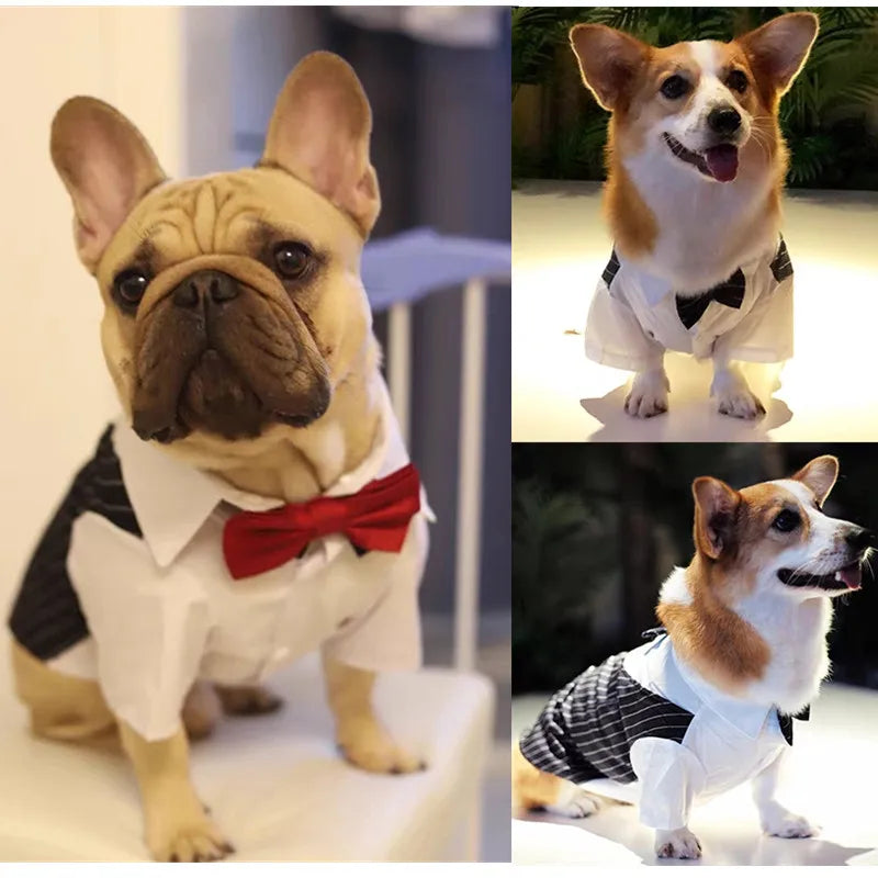 Dog Tuxedo Dog Suit Puppy Pet Tuxedo Wedding Party Costume Dog Prince Bow Tie Shirt Formal Dog Weeding Attire Dogs Cats Clothes - Premium  from Lizard Vigilante - Just $6.99! Shop now at Lizard Vigilante