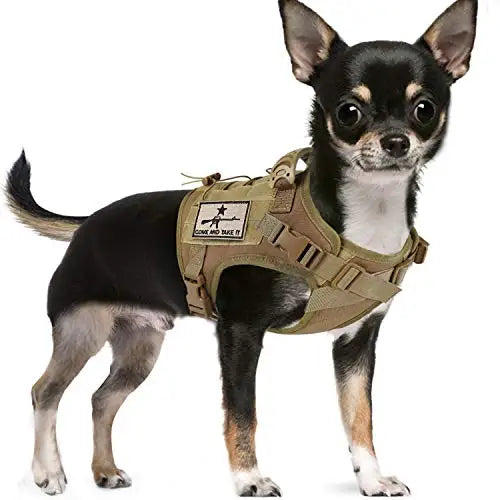 Chihuahua Tactical Dog Vest – XS Adjustable Military MOLLE Training Harness with Rubber Handle for Small Dogs - Premium dog vest from Lizard Vigilante - Just $29.99! Shop now at Lizard Vigilante