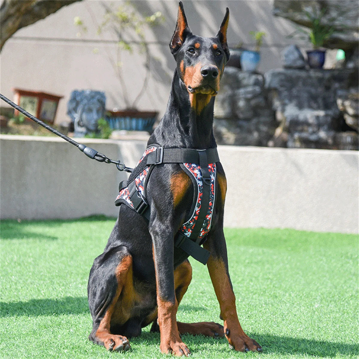 Reflective Chest Dog Harness for Dogs No Pull Dog Breathable Vest Adjustable Puppy Harness Pet Supplies - Premium dog harness from Lizard Vigilante - Just $22.99! Shop now at Lizard Vigilante