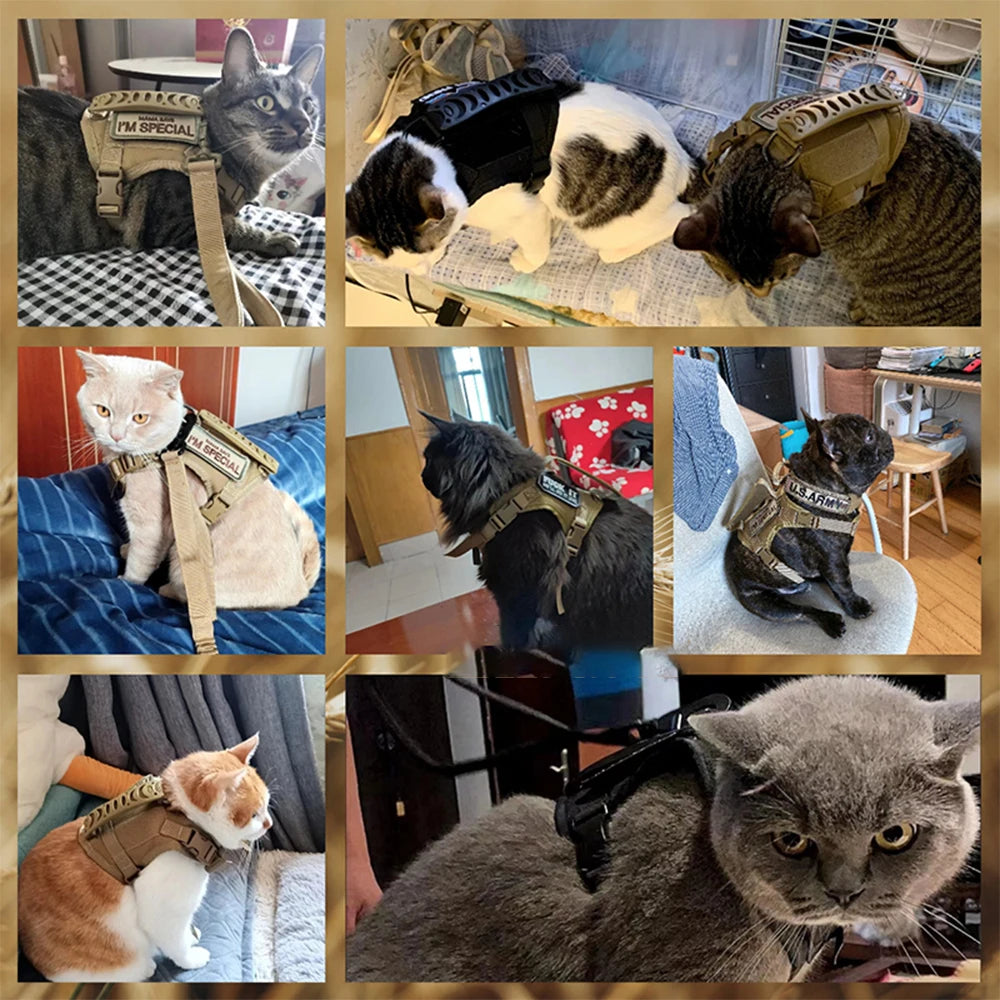 Combat Kitty Tactical Harness – Adjustable Full-Body Vest With Control Handle For Cats & Small Dogs