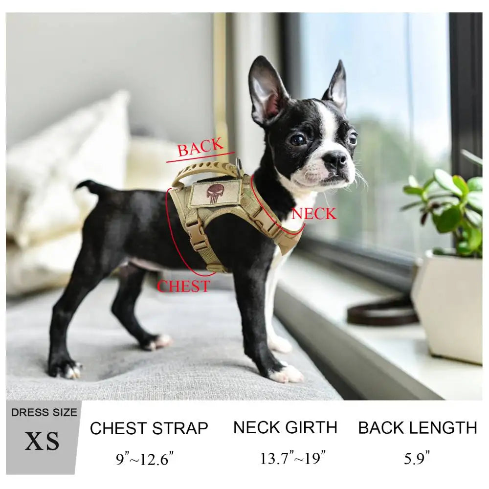 Chihuahua Tactical Dog Vest – XS Adjustable Military MOLLE Training Harness with Rubber Handle for Small Dogs - Premium dog vest from Lizard Vigilante - Just $29.99! Shop now at Lizard Vigilante