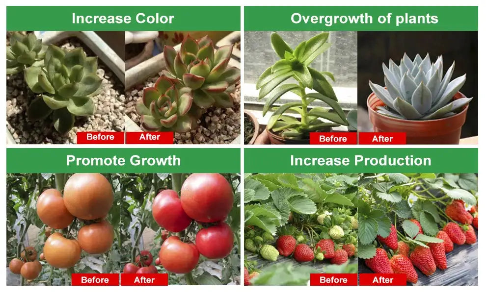 Grow Light 220V Full Spectrum LED Bar Light for Plants 50cm Phyto Lamp for Plant Veg Flowers Greenhouse Tent 4000K 380-780nm