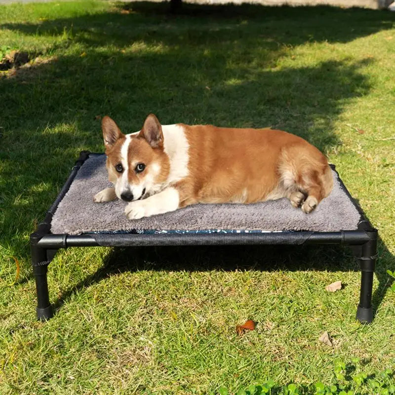 Elevated Dog Bed Portable Dog Bed Pet Bed Raised Elevated Anti-Slip Dog Cot Bed for Large Medium Small Dog Outside Beach Camping - Premium  from Lizard Vigilante - Just $40.99! Shop now at Lizard Vigilante