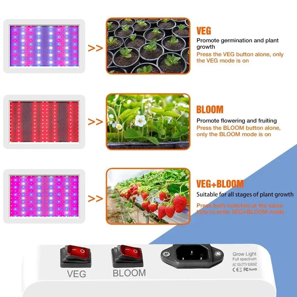 Newest 4000/5000W Full Spectrum LED Growing Light IP65 Plant Bulbs Hydroponic Lamp Greenhouse Lamps Flower Growth Lighting Box - Lizard Vigilante