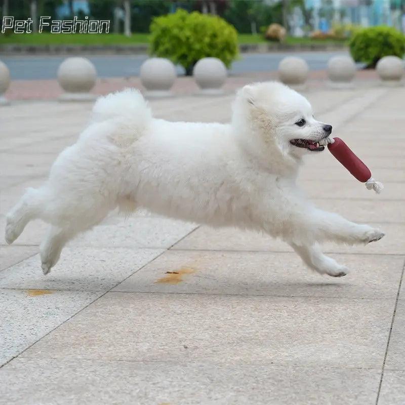 Dog Toys Funny Sausage Shape For Puppy Dog Chew Toys Interactive Training Bite-resistant Grinding Teeth Dogs Pet Supplies 1/3pcs - Premium dog toys from Lizard Vigilante - Just $12.99! Shop now at Lizard Vigilante