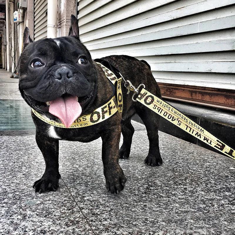 Fashion Dog Collar Leash Set Gold Chain Nylon Pets Dog Collar Leash Long Rope Lettered Collar Perro Collar For Pitbull Puppy Dog - Premium dog product from Lizard Vigilante - Just $17.99! Shop now at Lizard Vigilante