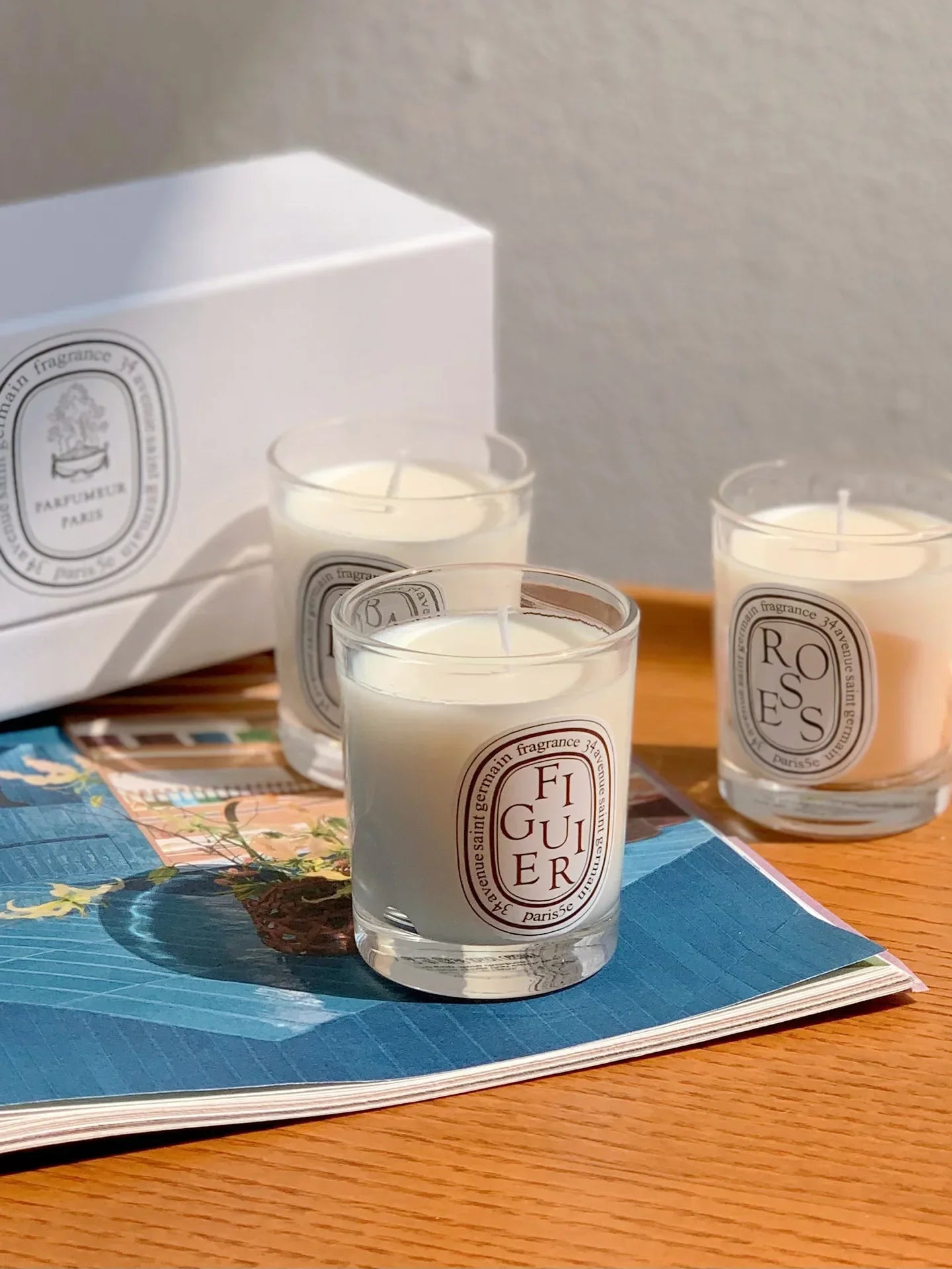 Aromatherapy Candle Natural Plant Scented Candles French Fragrance Fresh And Elegant Lasting Air Companion Aroma Gift