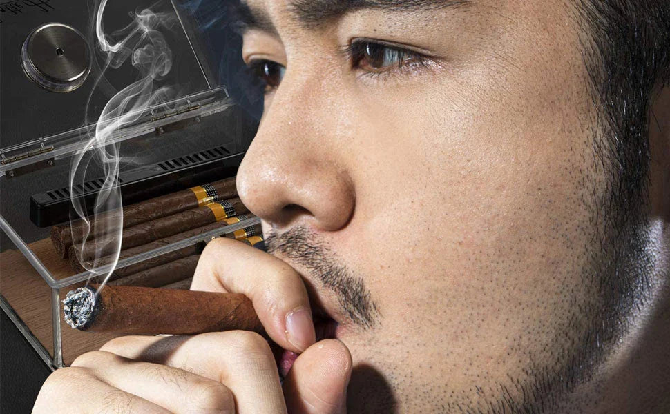 Scotte Cigar Case Humidors Acrylic Cigar Box Hygrometer Humidifier Hold 20 Cigars Include Cigar Cutters Cigar Punch Accessories