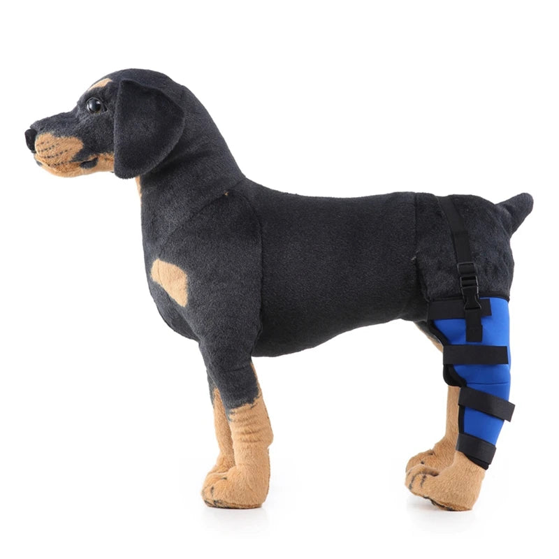 Pet Knee Pads – Breathable Support Brace for Dog Hock Joint Recovery - Premium Pet Knee Pads from Lizard Vigilante - Just $8.99! Shop now at Lizard Vigilante