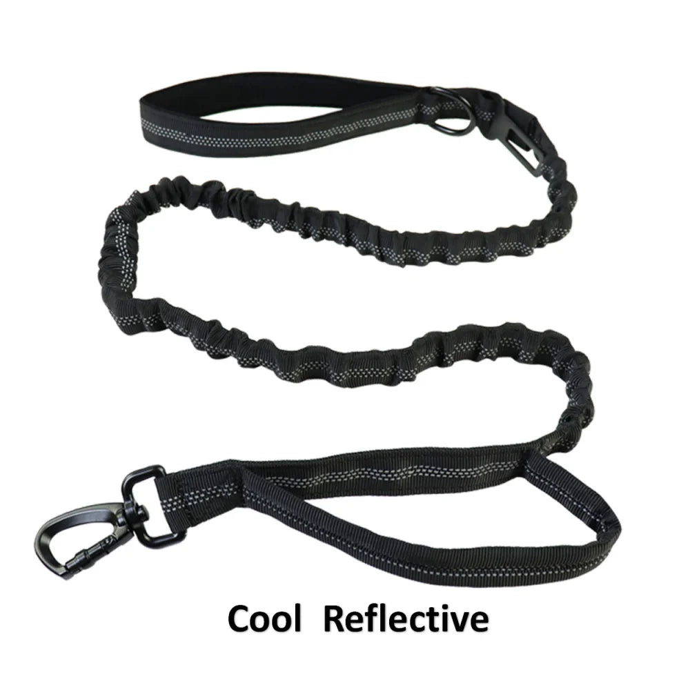 Durable Tactical Dog Collar and Leash Set – Adjustable, Padded, Reflective Military Training Collar for Medium to Large Dogs - Premium collar from Lizard Vigilante - Just $22.99! Shop now at Lizard Vigilante