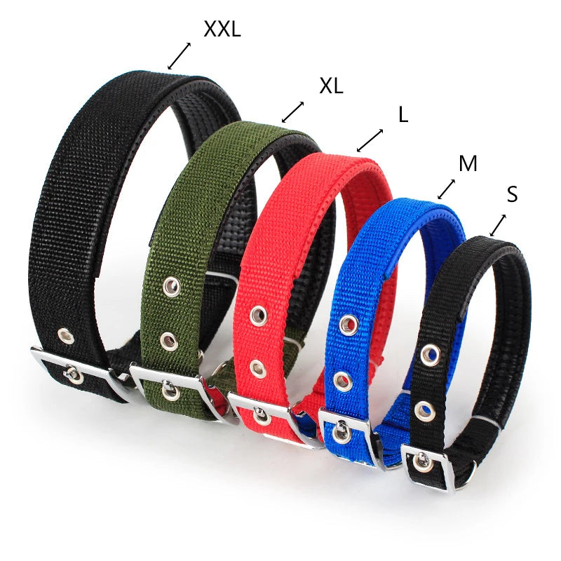 Durable Solid Nylon Dog Collar for Small, Medium, and Large Dogs – Breakaway Design - Premium dog collar from Lizard Vigilante - Just $12.99! Shop now at Lizard Vigilante