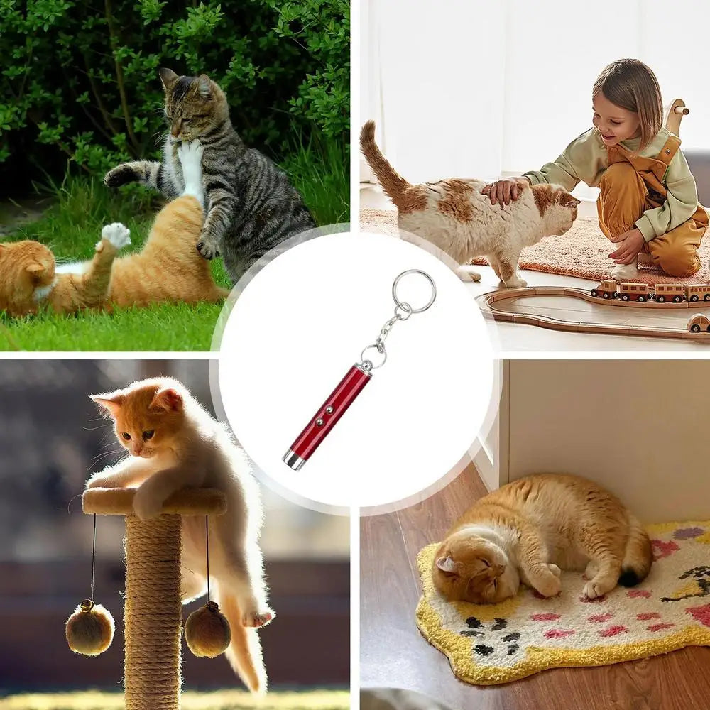 Ultimate Cat Laser Pointer Toy – Interactive Laser Teaser for Cats, Portable Pet Exercise and Enrichment Tool for Indoor Play - Premium  from Lizard Vigilante - Just $12.88! Shop now at Lizard Vigilante