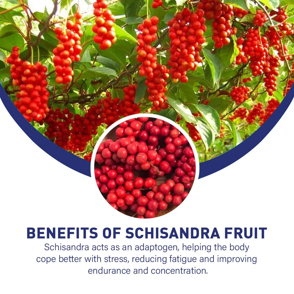 Fearathe Thyroid Support Complex Supplement - Energy, Focus, Boosts Brain Function and Metabolism, Concentration, Vitamin B12 - Premium  from Lizard Vigilante - Just $28.99! Shop now at Lizard Vigilante