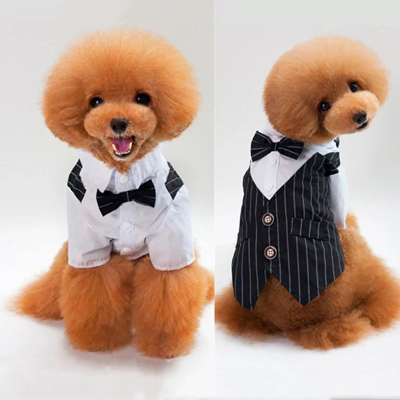 Dog Tuxedo Dog Suit Puppy Pet Tuxedo Wedding Party Costume Dog Prince Bow Tie Shirt Formal Dog Weeding Attire Dogs Cats Clothes - Premium  from Lizard Vigilante - Just $6.99! Shop now at Lizard Vigilante