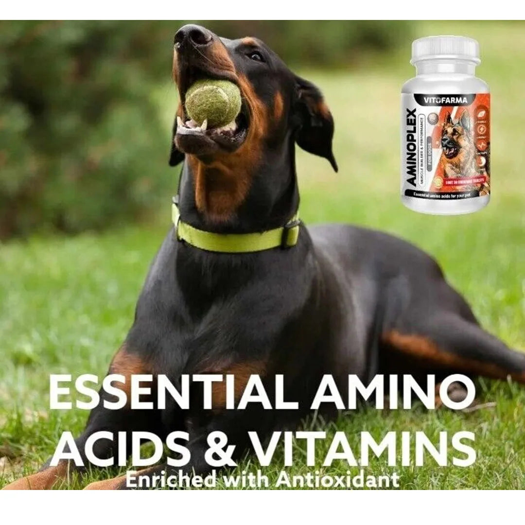 AMINOPLEX 30 Chew Muscle Builder & Vitamin Supplement for Dogs – Stress Relief, Immune Support, Muscle Mass & Energy Booster - Premium dog supplies from Lizard Vigilante - Just $88.88! Shop now at Lizard Vigilante