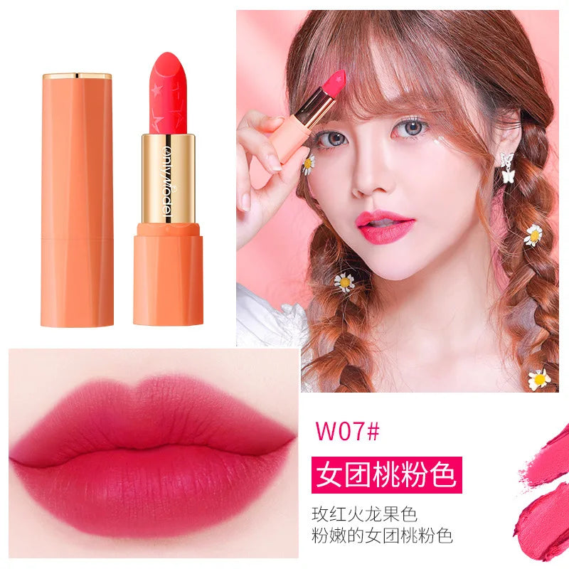 Orange Lipstick Waterproof Long Lasting Matte Lipsticks Resistant Lip Stick Velvet Lip Tint Women Cosmetic Sexy Lip Glaze Makeup