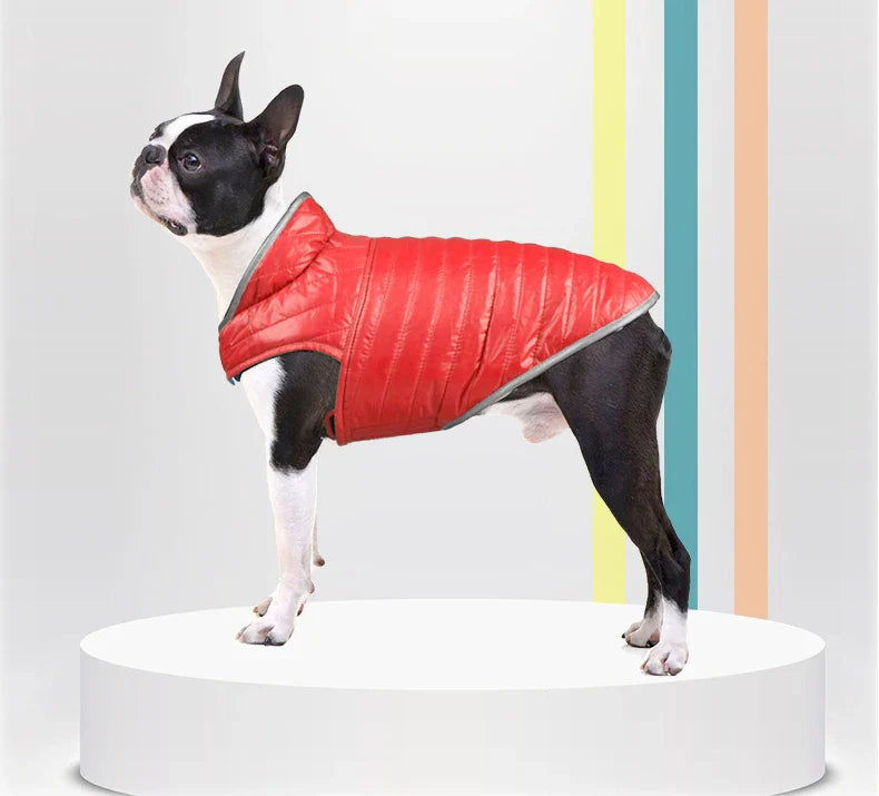 Double Sided Dog Coat Winter Warm Pet Dog Clothes For Small Medium Dogs Vest Chihuahua Clothing Soft Puppy Costumes Ropa Perro