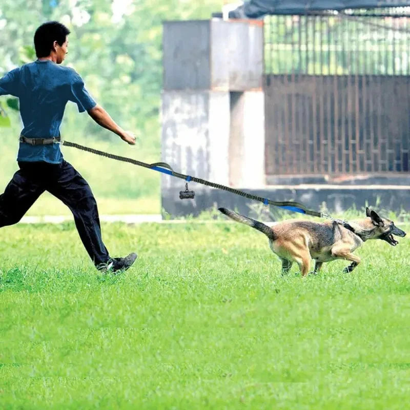 Reflective High-Visibility Hands-Free Elastic Running Belt Dog Leash | Durable Jogging and Hiking Pet Lead with Metal D-Ring Harness - Premium dog leash from Lizard Vigilante - Just $23.88! Shop now at Lizard Vigilante