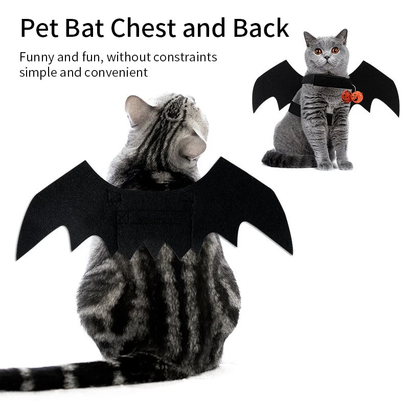 Fierce Fashion Cat Costume with Bat Wings – Perfect Pet Cosplay for Halloween & Festivals - Premium cat attire from Lizard Vigilante - Just $9.99! Shop now at Lizard Vigilante