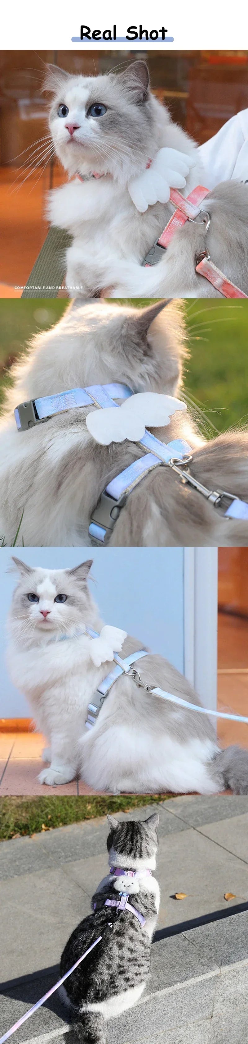 Cat Harness Wings Pet Harnesses And Leashes Set Adjustable Pet Harness for Cats Small Dogs Pug Chihuahua Cat Accessories
