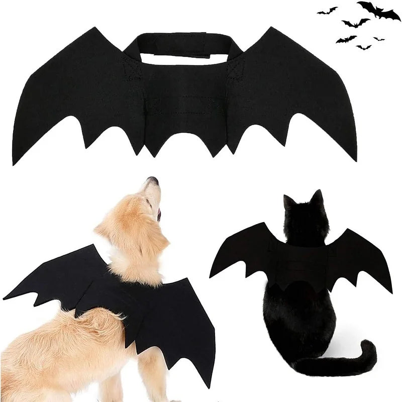 Fierce Fashion Cat Costume with Bat Wings – Perfect Pet Cosplay for Halloween & Festivals - Premium cat attire from Lizard Vigilante - Just $9.99! Shop now at Lizard Vigilante