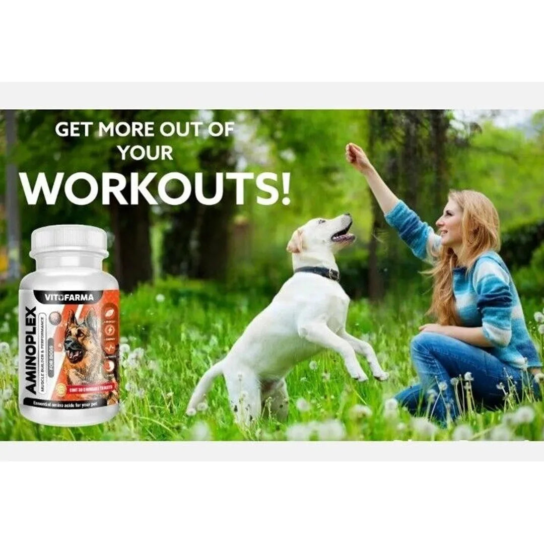 AMINOPLEX 30 Chew Muscle Builder & Vitamin Supplement for Dogs – Stress Relief, Immune Support, Muscle Mass & Energy Booster - Premium dog supplies from Lizard Vigilante - Just $88.88! Shop now at Lizard Vigilante