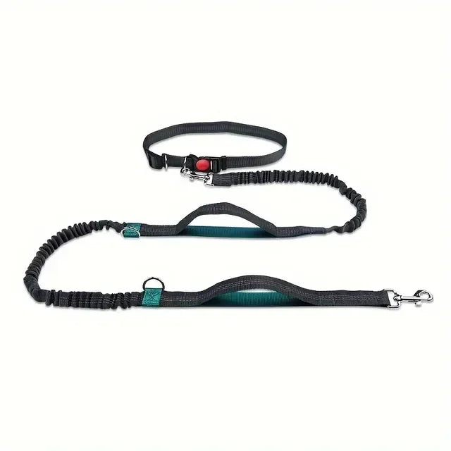 Reflective High-Visibility Hands-Free Elastic Running Belt Dog Leash | Durable Jogging and Hiking Pet Lead with Metal D-Ring Harness - Premium dog leash from Lizard Vigilante - Just $23.88! Shop now at Lizard Vigilante