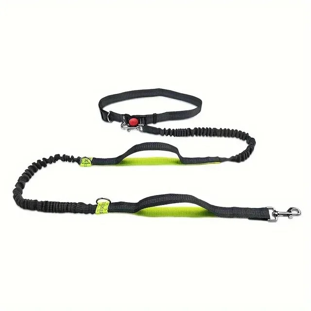 Reflective High-Visibility Hands-Free Elastic Running Belt Dog Leash | Durable Jogging and Hiking Pet Lead with Metal D-Ring Harness - Premium dog leash from Lizard Vigilante - Just $23.88! Shop now at Lizard Vigilante