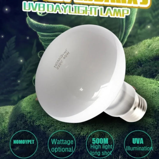 Reptile UVA+UVB Lamp Bulb 25W/40W/50W/60W/75W/100W Pet Brooder Heat Daylight Lamp Turtle Lizard Terrarium Temperature Controller - Premium reptile heating lamp from Lizard Vigilante - Just $17.99! Shop now at Lizard Vigilante