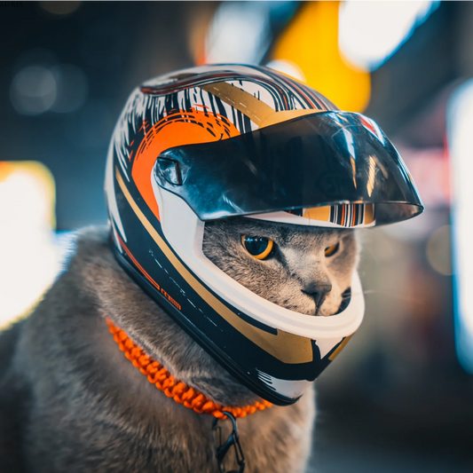 DIY Pet Helmets,Cat Helmet,Dog Helmet-Outdoor Mini Head Protecting Safe Hat,Pet Photo Props Accessorie,Mini Motorcycle Helmet - Premium pet helmet from Lizard Vigilante - Just $42.99! Shop now at Lizard Vigilante