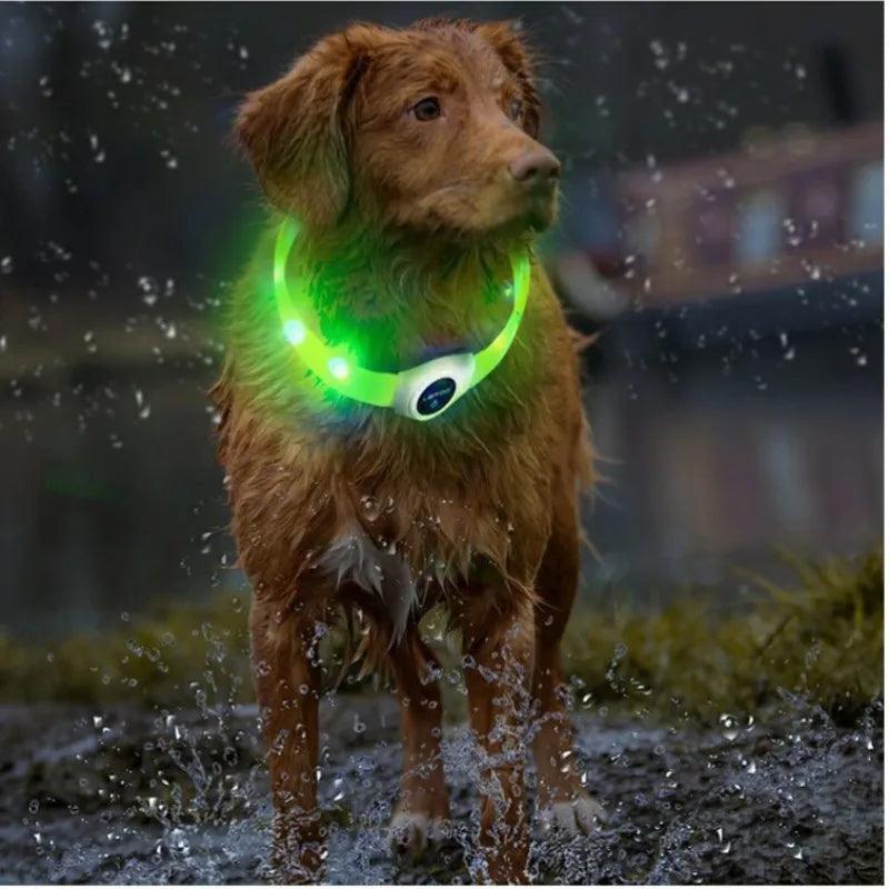 LED Luminous Waterproof Dog Collar For Large Medium Small Dogs Collar Usb Night Light Safety Pet Glowing Accessories - Lizard Vigilante