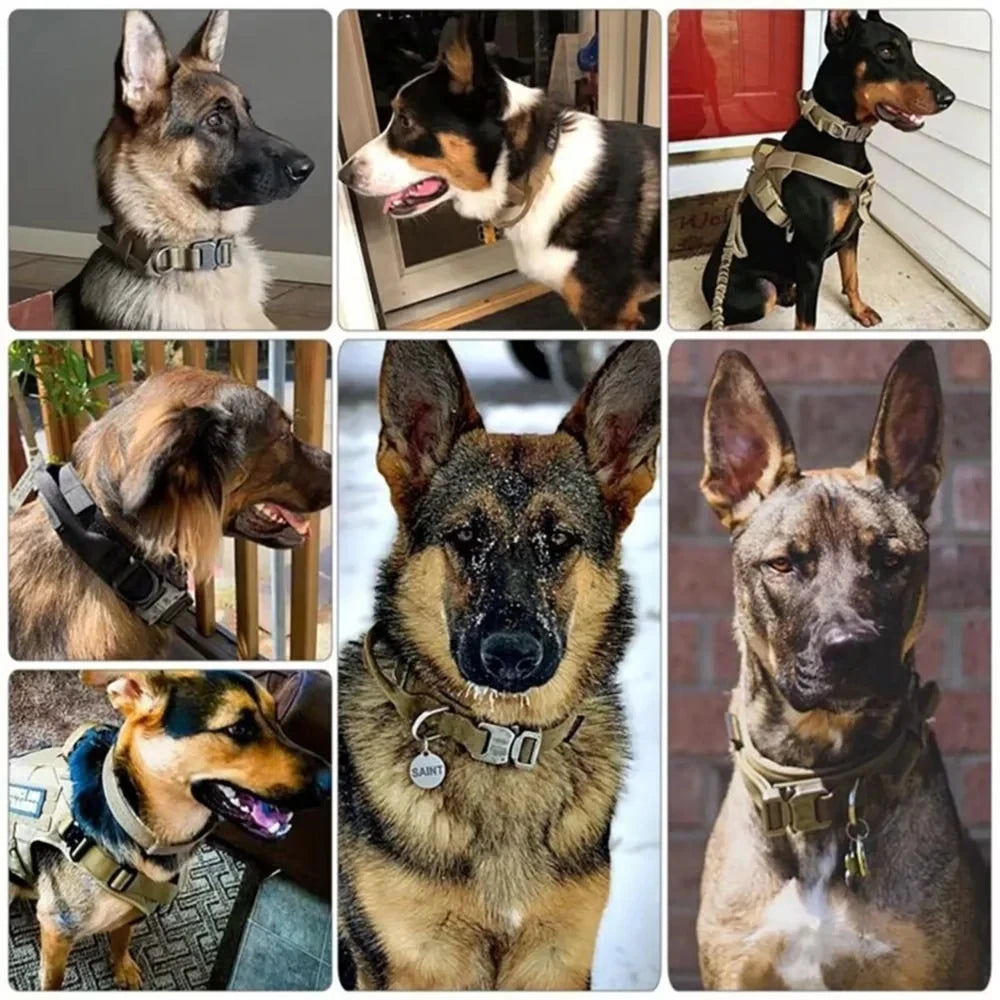 Tactical Police Dog Collar – Adjustable Durable Nylon for Medium & Large Breeds - Premium dog collar from Lizard Vigilante - Just $24.88! Shop now at Lizard Vigilante