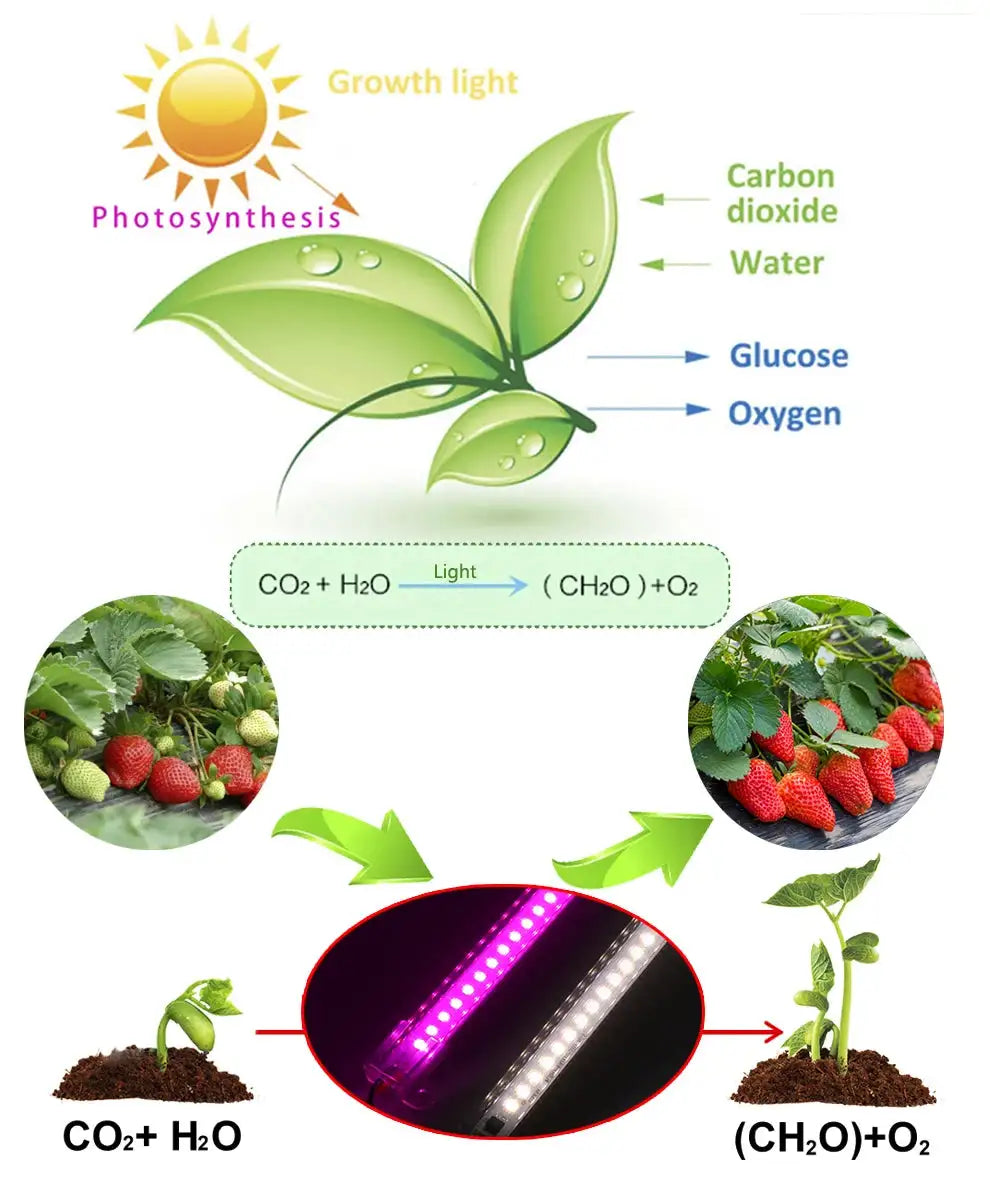 Grow Light 220V Full Spectrum LED Bar Light for Plants 50cm Phyto Lamp for Plant Veg Flowers Greenhouse Tent 4000K 380-780nm