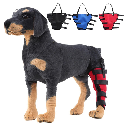 Pet Knee Pads – Breathable Support Brace for Dog Hock Joint Recovery - Premium Pet Knee Pads from Lizard Vigilante - Just $8.99! Shop now at Lizard Vigilante