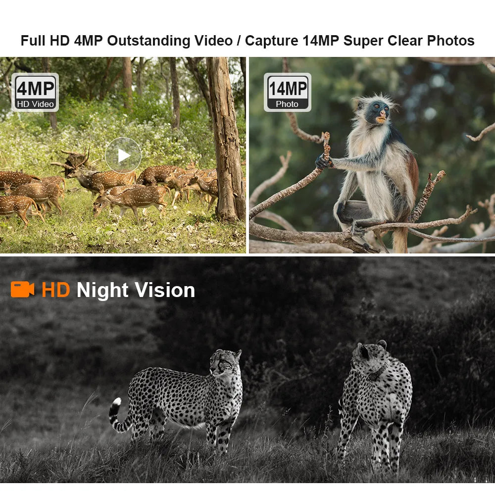 LS VISION 4G Solar Security Cameras Wireless Outdoor  2K HD Video Surveillance Wildlife c IR Night Vision Human/Animal Detection - Lizard Vigilante