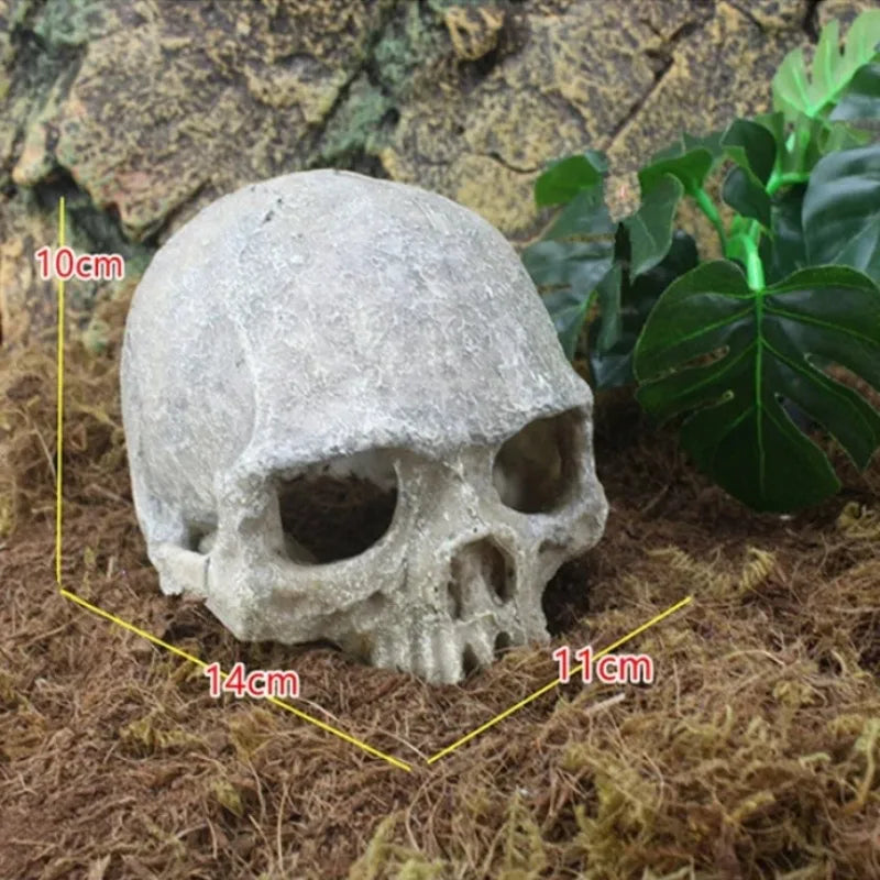 Fish Tank Aquarium Skull Decoration Breeding House Simulation Resin Cranium Statue Spider Scorpion Lizard Shelter Home Ornament - Premium skulll decor from Lizard Vigilante - Just $21.99! Shop now at Lizard Vigilante